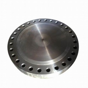 Manufacturing Flange Steel Weld-on Forge FF Steel Bearing Rubber Coupling Flange Sans 1123 En1092-1 Flanges